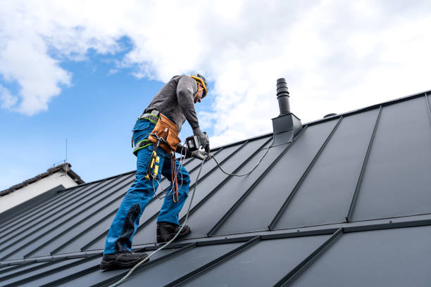 Best Roof Moss and Algae Removal  in High Rolls, NM